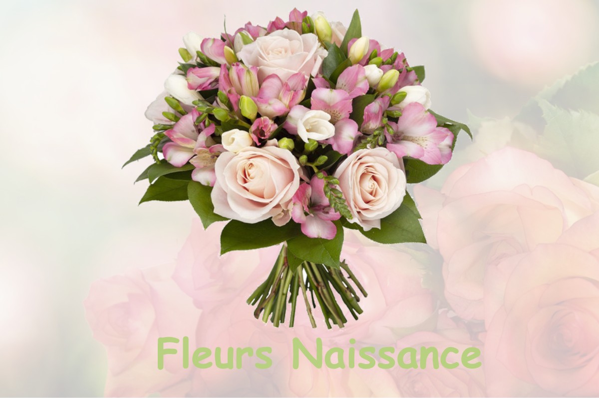fleurs naissance LE-PLESSIS-PLACY