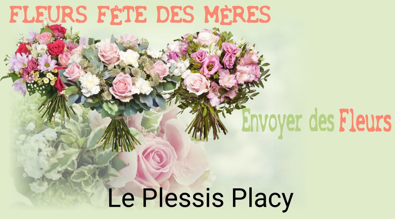 Bouquet de Fête des Mères livré à Le Plessis-Placy